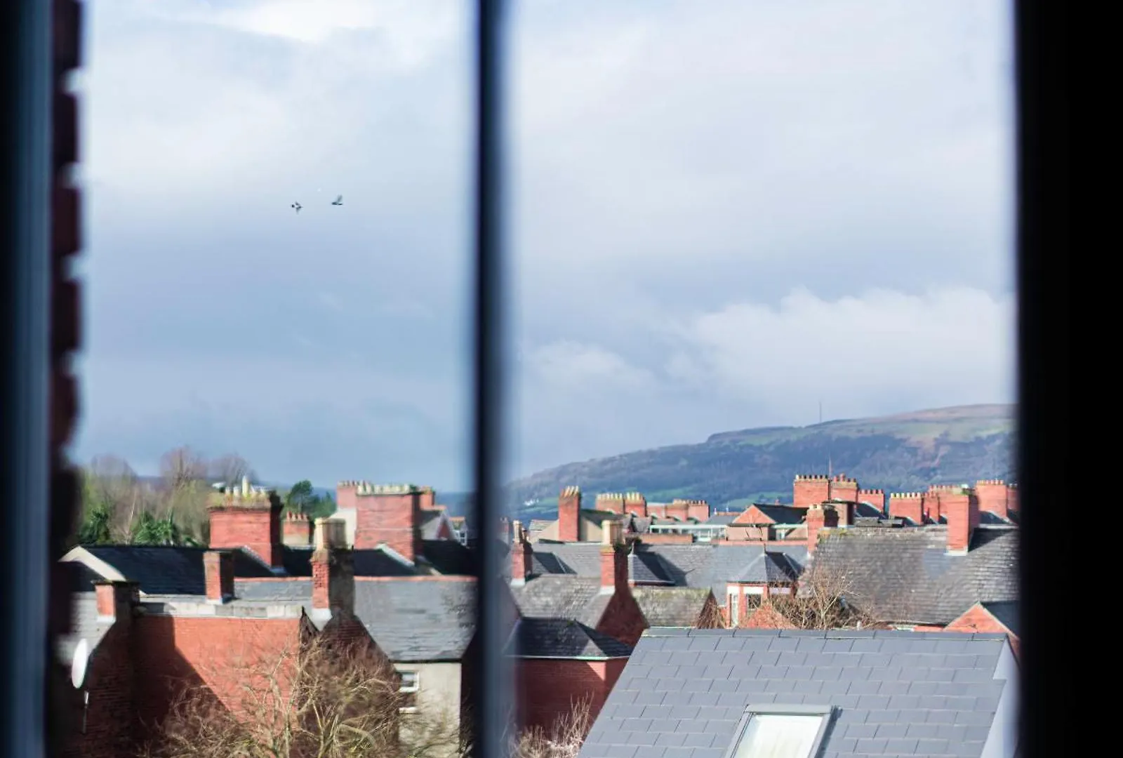Rooms & Apts Malone Road Belfast